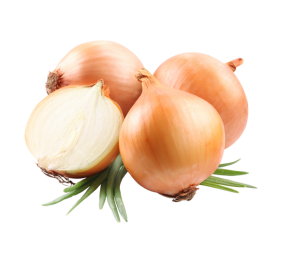 Onion